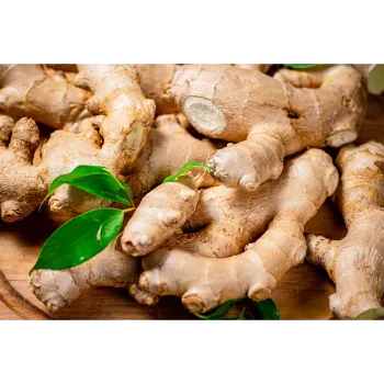 Ginger (32)-5406668-92537.webp